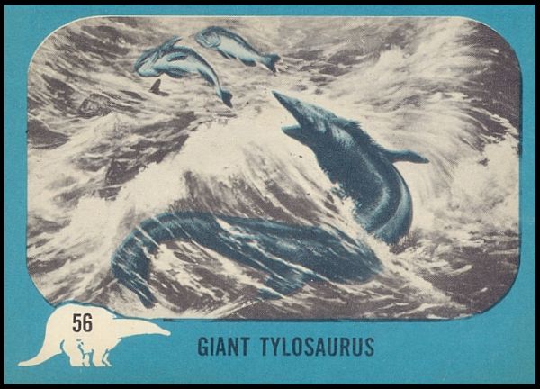 56 Giant Tylosaurus